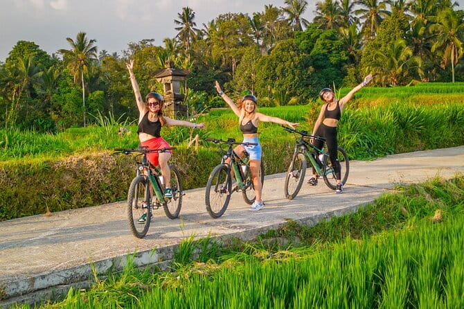 2 Hours Private Scooter Lesson in Bali - How the $31 price measures up