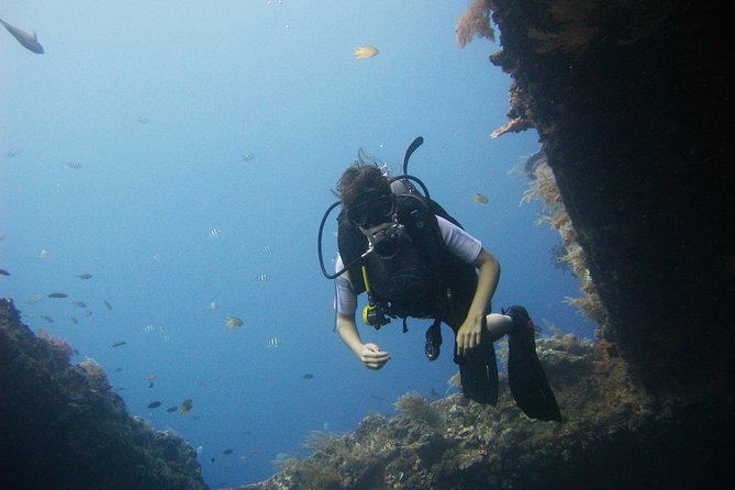 2 PADI Certified Dives at Tulamben from Bali - Lunch and the pause between sessions