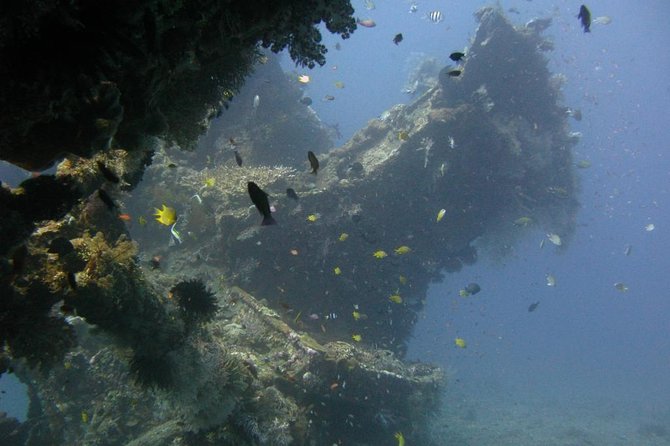 2 PADI Certified Dives at Tulamben from Bali - The early start from Bali
