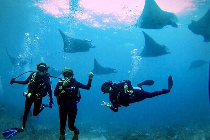3 Epic Dives in Nusa Penida - Certified Divers' Day Trip - Key things to know before you book