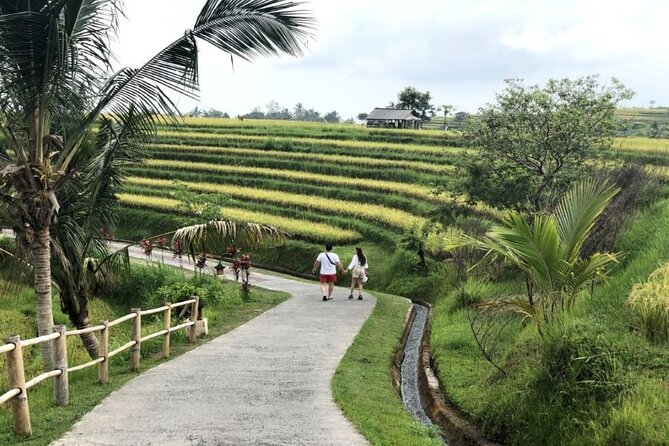 4-Hour Private Tour in Jatiluwih Terraces and Butterfly Park - Bali Butterfly Park: One Hour Among the Wings