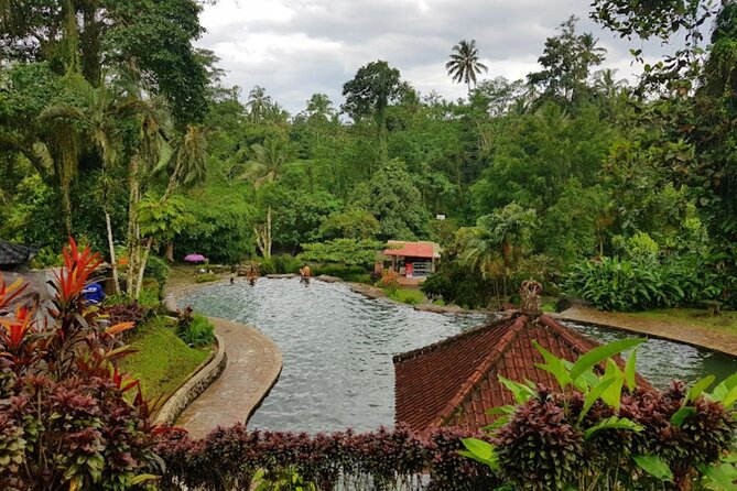 4-Hour Private Tour in Jatiluwih Terraces and Butterfly Park - Why a Private Driver Helps in Bali