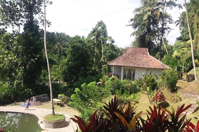 4-Hour Private Tour in Jatiluwih Terraces and Butterfly Park - Who Will Enjoy This Tour Most?
