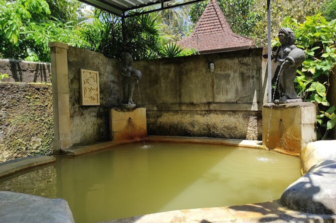 4-Hour Private Tour in Jatiluwih Terraces and Butterfly Park - Practical Advice Before You Book