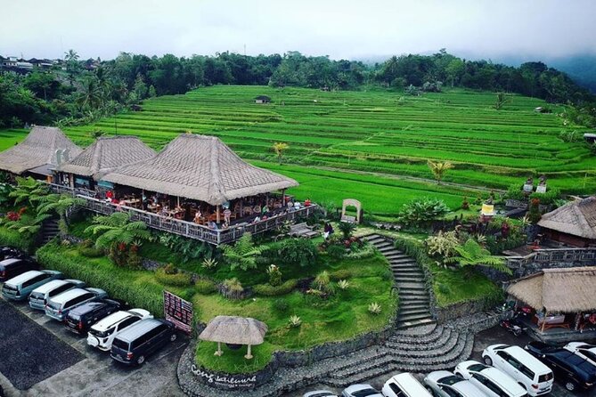 4-Hour Private Tour in Jatiluwih Terraces and Butterfly Park - Jatiluwih Rice Terraces and the Work Behind the View