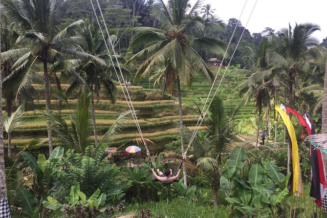 Adventures Tour : Bali Hidden Canyon Trekking - Beji Guwang - An early start from your Bali hotel