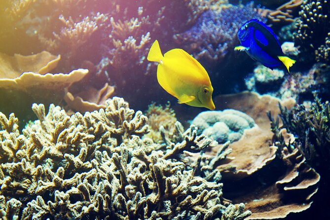 (ALL- IN) Bali Snorkeling Blue Lagoon with Waterfall Visit - Tanjung Jepun: the calmer first swim
