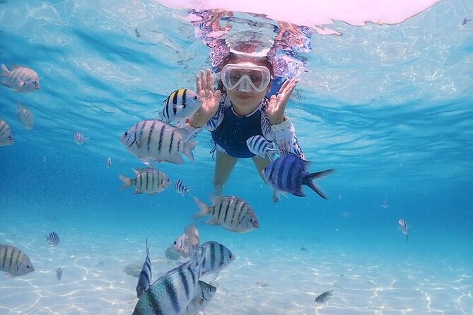 (ALL- IN) Bali Snorkeling Blue Lagoon with Waterfall Visit - Blue Lagoon and its possible marine life