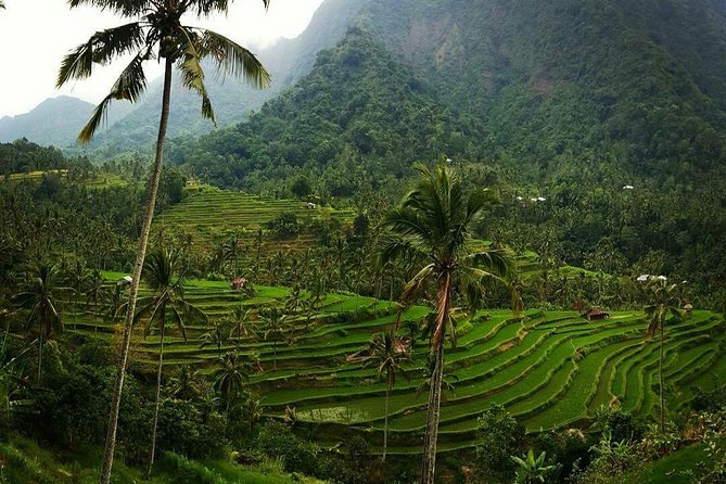 All inclusive Bali Sekumpul Waterfalls Trekking Tour - Optional stops that can lengthen the day