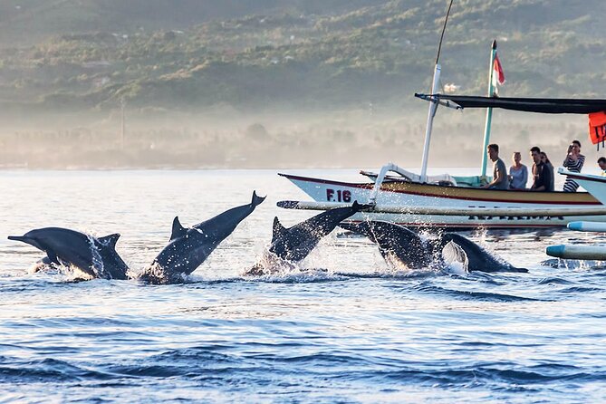 All inclusive Lovina Dolphins Sunrise tour, Waterfall & Temple - What the $89 price includes