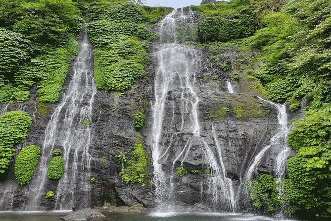 All inclusive Private 3 day tours package : Bali highlights - Day 1: Batuan, Batur, rice terraces, and monkeys