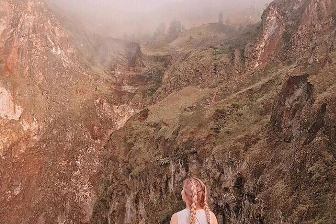 All Inclusive Private Mount Batur Sunrise Trekking And Natural Hot Springs - The Balinese coffee plantation stop at 11:30 AM