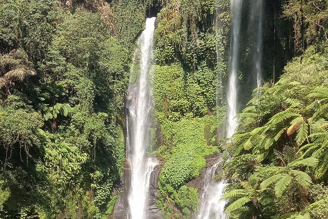 All Inclusive Sekumpul Waterfall Trekking , Handara Gate & Temple - What the $68.67 price includes