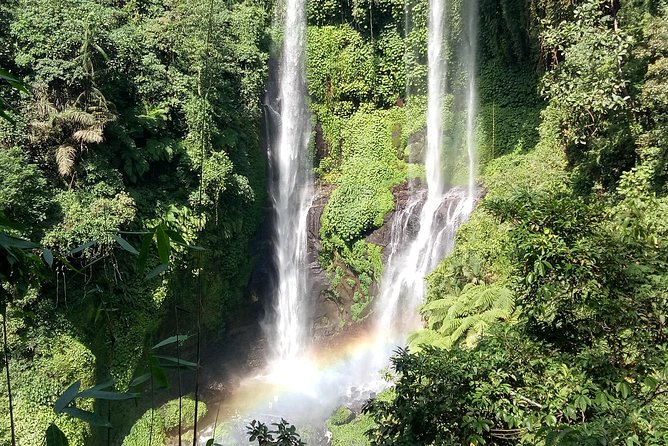 All Inclusive Sekumpul Waterfall Trekking , Handara Gate & Temple - The guide and driver can shape the experience