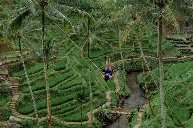 All inclusive Ubud private tour - Sacred Monkey Forest Sanctuary