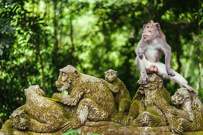 All inclusive Ubud private tour - Blangsinga Waterfall, also called Tegenungan