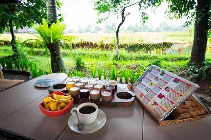 All Inclusives Bali Private Tour Temples Palaces and Nature - Coffee and cacao among tropical fields