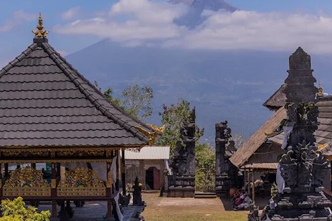 All Inclusives Bali Private Tour Temples Palaces and Nature - What the private price gets you