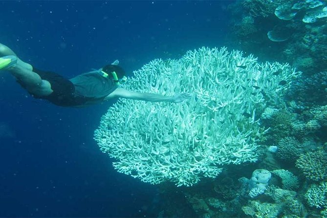 All Ticket Inclusive-Blue Lagoon Snorkeling-Ubud Monkey Forest & Ubud Waterfall - Tegenungan Waterfall and the choice to get wet