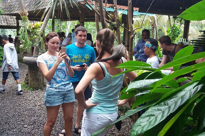 ATV Quad Bike with Kintamani Volcano Tour - All Inclusive - Tegalalang Rice Terrace as the final scenic stop