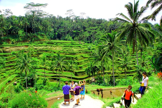 ATV Quad Bike with Kintamani Volcano Tour - All Inclusive - The ATV route through fields, rivers, and waterfalls