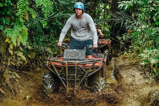 Bali ATV Quad Adventure Ubud Monkey Forest and Waterfall - One hour among the macaques at Sacred Monkey Forest