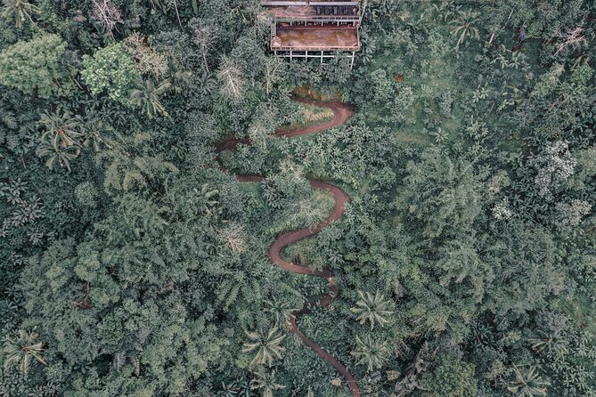 Bali ATV Quad Bike Adventure with Gorilla Cave Pass By Waterfall - Why Gorilla Cave makes this ATV ride different