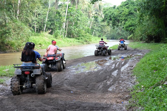 Bali Atv Quad Bike Through Tunnel and Waterfall - Coffee and civet coffee in Temen