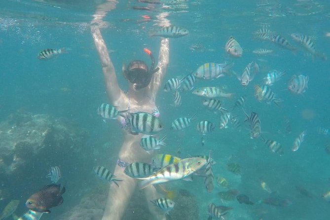 Bali Best Snorkeling at Blue Lagoon - The private format is useful for mixed groups