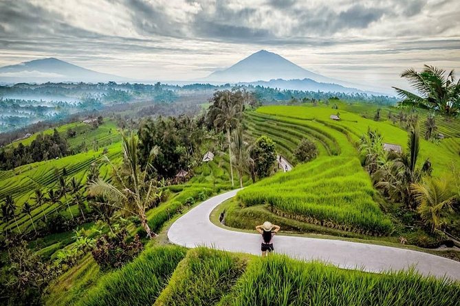 Bali BEST Things to Do Private Full-day Tour from Your Hotel - Ubud’s rice terraces and waterfalls
