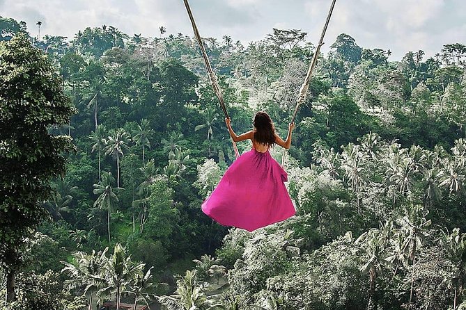 Bali BEST Things to Do Private Full-day Tour from Your Hotel - Monkey Forest, art, and the shopping question