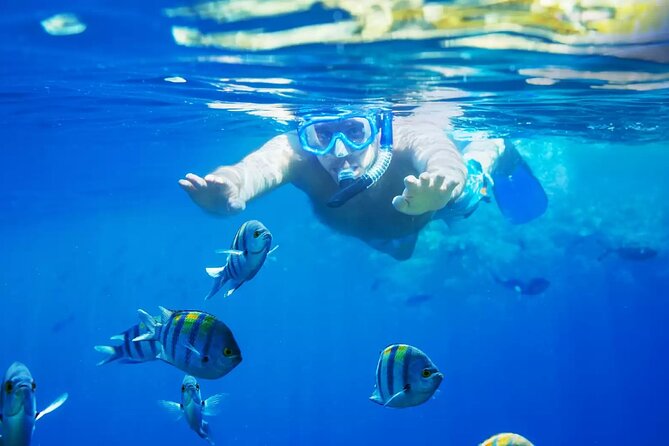 Bali Blue Lagoon Snorkeling with Private Transfer and Lunch - Blue Lagoon from Kuta: What You Are Really Booking