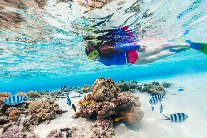 Bali Blue Lagoon Snorkeling with Private Transfer and Lunch - Small Details to Confirm Before You Pay