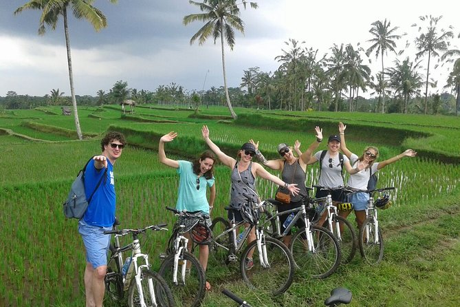 Bali Countryside Cycling Tour by Halo Bike Tour - The coffee plantation stop at 8:45 a.m.