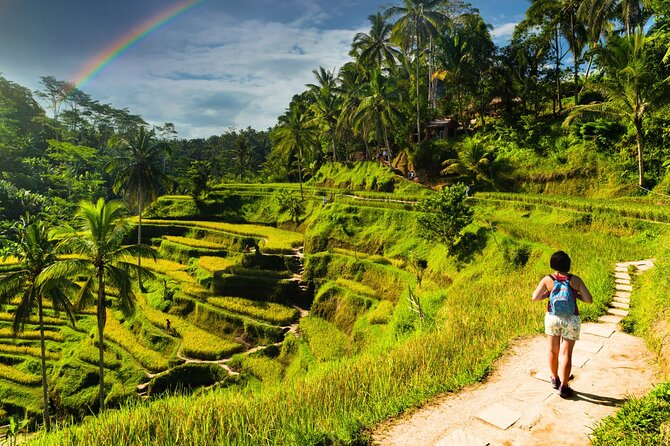 Bali Cultural Experience - From Kuta to Bali’s green interior