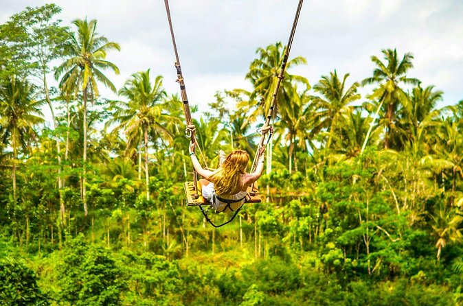 Bali Cultural Experience - What the guide adds to the day
