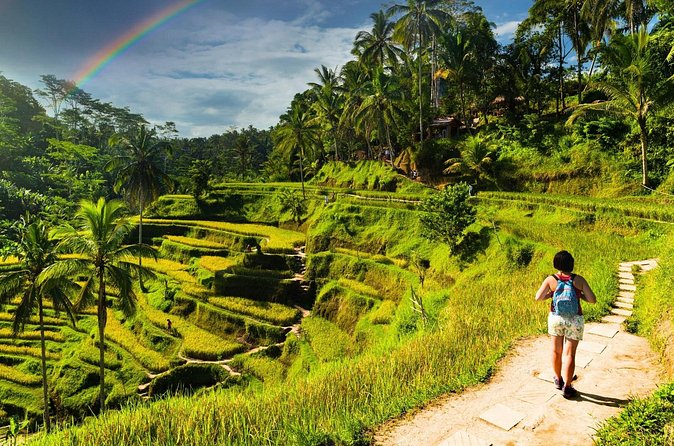 Bali Cultural Experience - Practical details that affect your plans