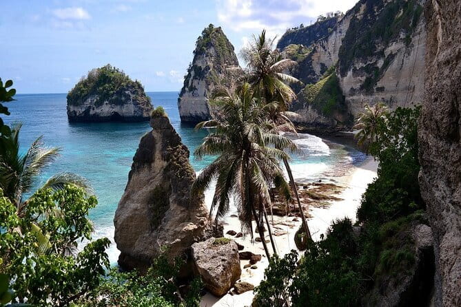 Bali Day Trip: Bali Instagram Tour (All Inclusive & Private) - Coffee and tea at Cantik Agriculture