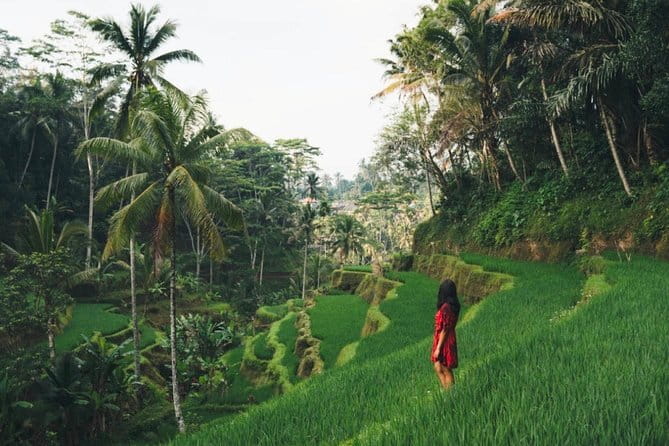 Bali day trip : Batur Sunrise Hike and Hot Spring All inclusive - What the $97.86 price includes