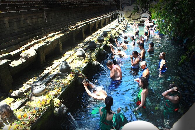 Bali Day Trip: Ubud Temples & Hidden Waterfalls - Tegalalang puts Bali’s farming tradition in view