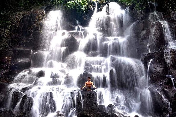 Bali Day Trip: Ubud Temples & Hidden Waterfalls - What the $39 price really covers