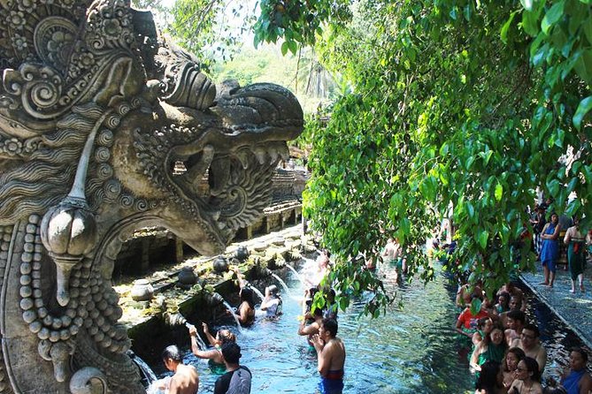 Bali Day Trip: Ubud Temples & Hidden Waterfalls - Practical details before you book