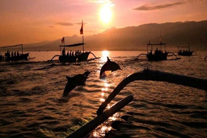 Bali Dolphin Lovina tour and Ulundanu Beratan - Who will enjoy this day most