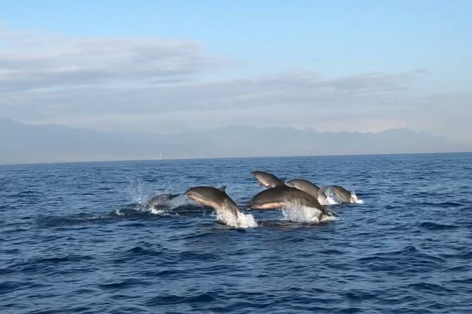 Bali Dolphin Lovina tour and Ulundanu Beratan - Ulun Danu Beratan at about 10:30 am