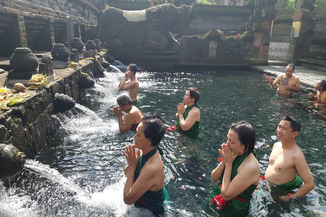 Bali Full Day Holy Water Tour - Tegenungan Waterfall: choose between a view and a swim