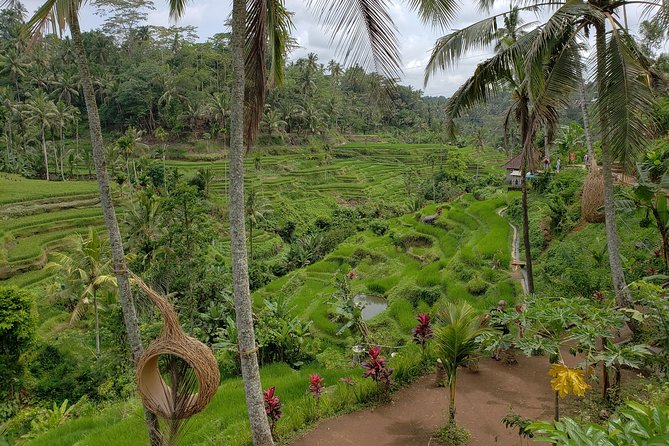 Bali Full Day Holy Water Tour - Celuk Village: watch Balinese jewelry take shape