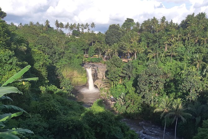 Bali Full Day Holy Water Tour - Price, private transport, and the value of the day