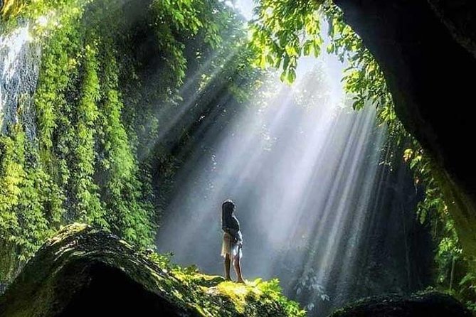 Bali Full Day Tour - East Bali Instagram Tour - Lunch near Menanga with Mount Agung views