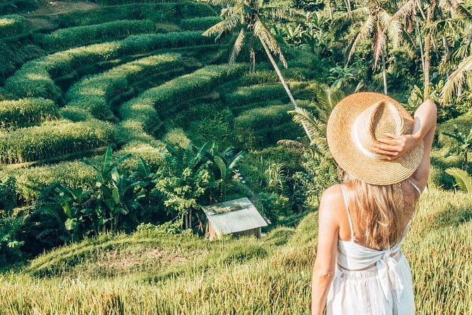 Bali Full-Day Tours : Waterfall and Ubud Destination Trip - Monkey Forest brings wildlife into the middle of town