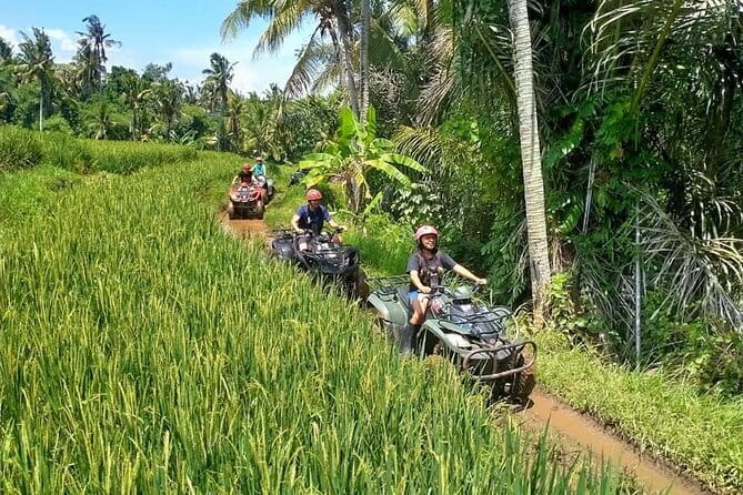 Bali Full-Day Tours : Waterfall and Ubud Destination Trip - Ubud Royal Palace gives the town a historic center